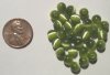30 6mm Olive Fiber Optic
